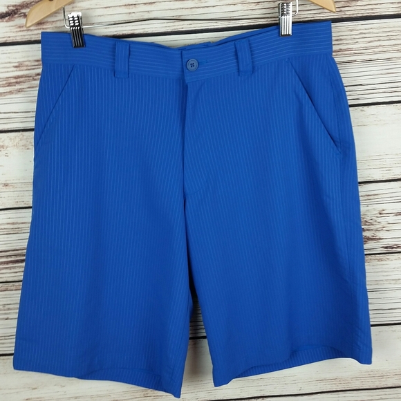 Under Armour Other - Under Armour Size 34 Blue Striped Golf Shorts